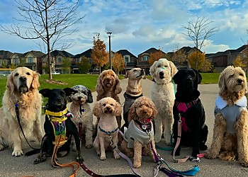 Milton dog walker Wet Nose's Getaway