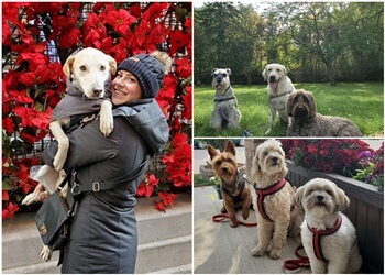 Milton dog walker Wet Nose's Getaway