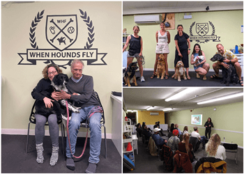 Toronto Dresseurs De Chiens When Hounds Fly