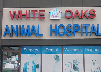 White Oaks Animal Hospital - Whitby, ON Veterinary Clinics - Clinic Exterior Image