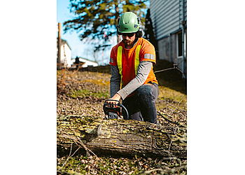 Richmond Hill tree service Wight Tree Service Inc.
