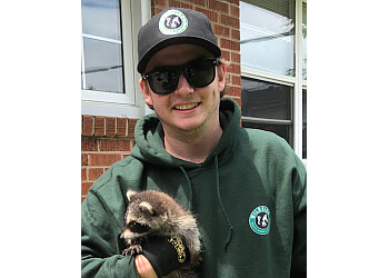 Burlington animal removal Wildside Wildlife Removal & Prevention Ltd.