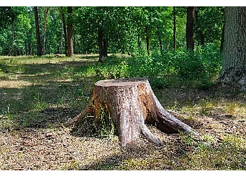 Fredericton tree service Wildwood Tree Services Inc.