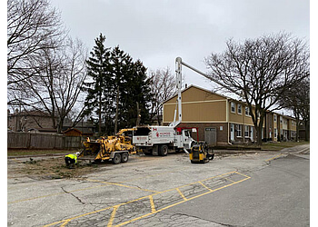 Oakville tree service Wildwood Tree Services Ltd.