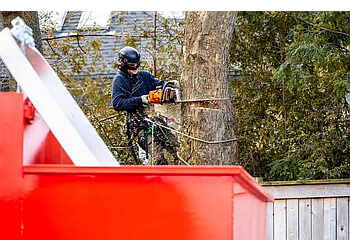 Oakville tree service Wildwood Tree Services Ltd.