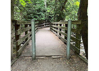 Barrie hiking trail Wilkins Walk Trail