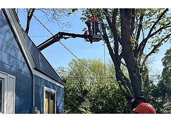 Windsor Services d'arboriculteur Wilson Tree Service