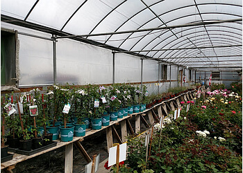 Medicine Hat places to see Windmill Garden Centre