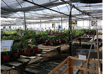 Medicine Hat places to see Windmill Garden Centre