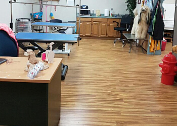 Moncton Salons de Toilettage Pour Animaux De Compagnie Wizard of Pawz Dog Grooming Academy