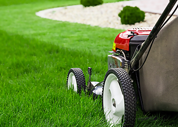 Wolfgreen Lawn Service - Milton, ON Lawn Care Services - Service Image