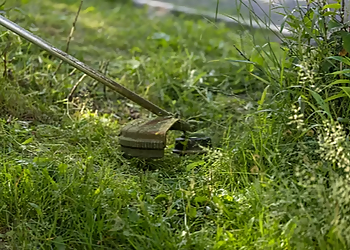 Wolfgreen Lawn Service - Milton, ON Lawn Care Services - Service Highlights