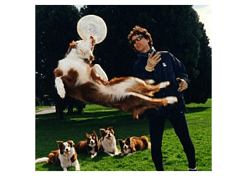 Victoria dog trainer Wonderdogs Training Ltd