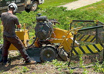 Woodland Tree Service - Orillia, ON Services d'arboriculteur - Field Work Image