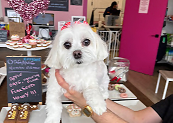 Newmarket pet grooming Woof Gang Bakery & Grooming Newmarket East