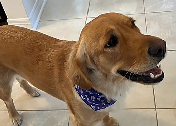 Oakville pet grooming Woof Gang Bakery & Grooming Oakville