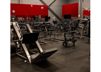 3 Best Gyms in Mississauga, ON  Expert Recommendations