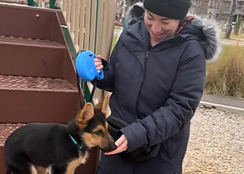 World of Difference K9 Dog Training - Aurora, ON Dog Trainers - Dog Training Image