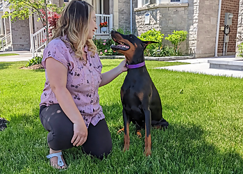 World of Difference K9 Dog Training - Aurora, ON Dog Trainers - Dog Trainer Image