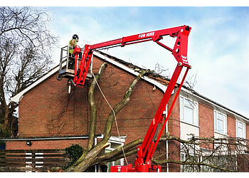 Ottawa Services d'arboriculteur Wright Tree Service