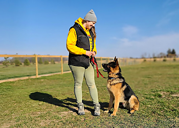 Orangeville dog trainer Wunder K9