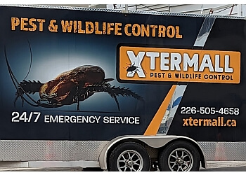 Xtermall Pest & Wildlife Control