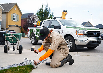 Calgary lawn care service Yard Dawgs image 1