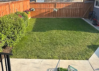 Yard Dawgs Edmonton - Edmonton, AB Lawn Care Services - Service Image