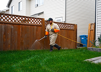 Saskatoon Service D'Entretien De Pelouse Yard Dawgs Lawn Care Saskatoon