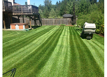 Kitchener lawn care service Yard Worx Landscape Inc.