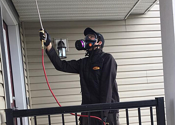 Calgary Services d'extermination de parasites Zap Pest Control