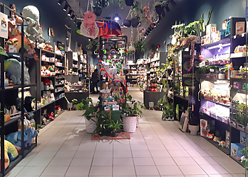 St Catharines Boutiques De Cadeaux Ziya Blue