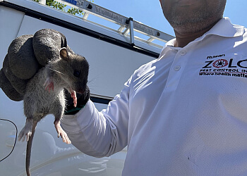 Whitby Services d'extermination de parasites Zolo Pest Control, Inc.