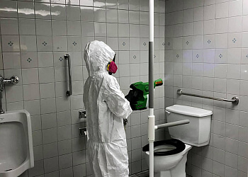 Saguenay pest control Zone-Zéro Extermination