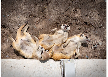 Granby Attraction touristiques Zoo De Granby