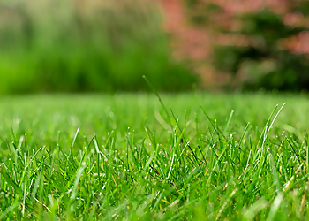 Quebec lawn care service cVert