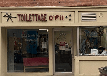 Saint Hyacinthe pet grooming du Toilettage O'Fil image 1