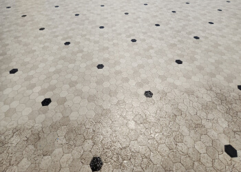 Moncton house cleaning service iClean