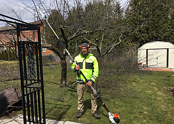 iTrim4U - Whitby, ON Tree Services - Service Highlights