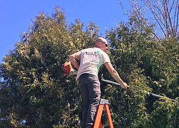 iTrim4U - Whitby, ON Tree Services - Service Image