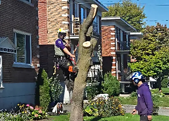 ÉLAGAGE GAGNON - Laval, QC Services d'arboriculteur - Tree Trimming Image