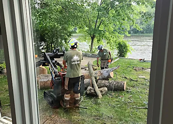 ÉLAGAGE GAGNON - Laval, QC Services d'arboriculteur - Field Work Image