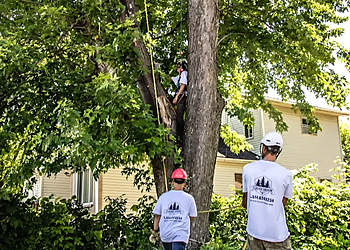 ÉLAGAGE GAGNON ÉLAGAGE GAGNON - Laval, QC Services d'arboriculteur - Team Working Image