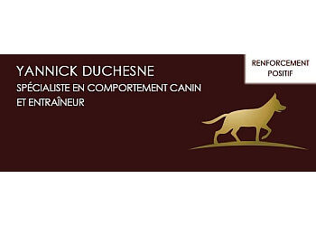 Gatineau dog trainer Éducateur Canin Yannick Duchesne