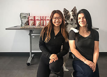 Éducation Canine AniVal Éducation Canine AniVal - Drummondville, QC Dog Trainers - Dog Trainer Image