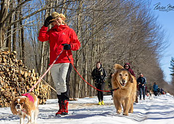 Levis Dresseurs De Chiens Éducation Tony & Co.