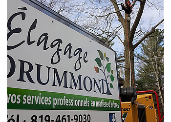Drummondville tree service Élagage Drummond