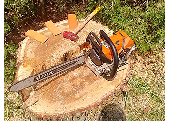 Drummondville tree service Élagage Drummond