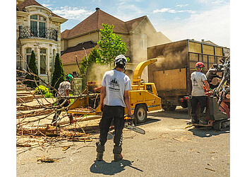 Laval Services d'arboriculteur Élagage Gagnon