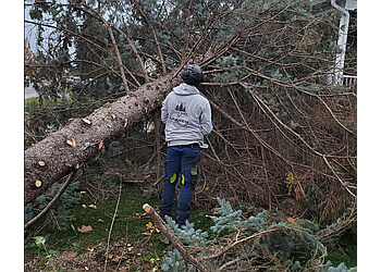 Laval Services d'arboriculteur Élagage Gagnon